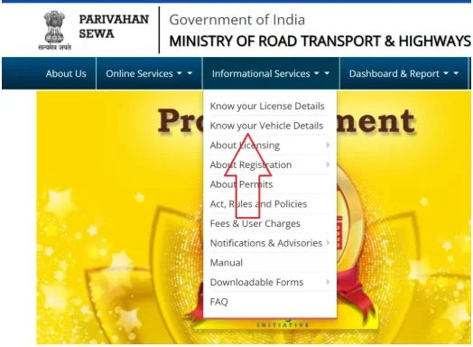 check vehicle information 